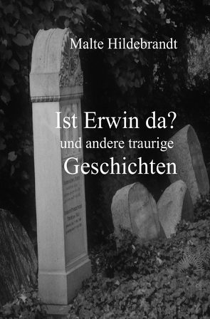 Ist Erwin da? und andere traurige Geschichten von Hildebrandt,  Malte