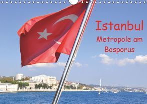 Istanbul – Metropole am Bosporus (Wandkalender 2019 DIN A4 quer) von Thauwald,  Pia