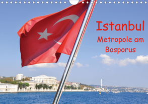 Istanbul – Metropole am Bosporus (Wandkalender 2020 DIN A4 quer) von Thauwald,  Pia