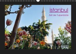 Istanbul – Zeit der Tulpenblüte (Wandkalender 2019 DIN A3 quer) von Liepke,  Claus, Liepke,  Dilek