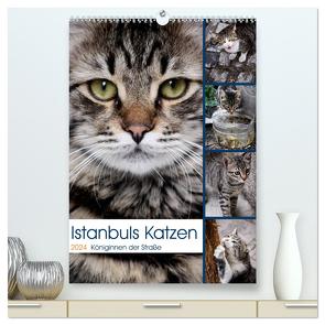 Istanbuls Katzen (hochwertiger Premium Wandkalender 2024 DIN A2 hoch), Kunstdruck in Hochglanz von Wagener,  Harald