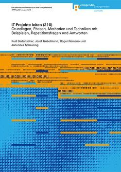 IT-Projekte leiten (210) von Badertscher,  Kurt, Gubelmann,  Josef, Romano,  Roger, Scheuring,  Johannes