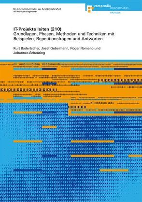 IT-Projekte leiten (210) von Badertscher,  Kurt, Gubelmann,  Josef, Romano,  Roger, Scheuring,  Johannes