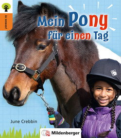 Ja sowas! Mein Pony für einen Tag von Crebbin,  June, Oelschlegel,  Stephanie, Patton,  Julia