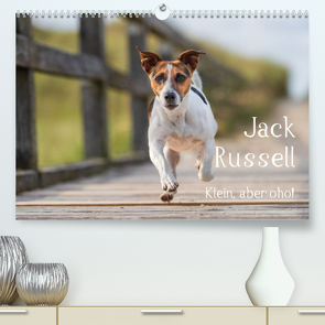 Jack Russell – Klein, aber oho! (Premium, hochwertiger DIN A2 Wandkalender 2023, Kunstdruck in Hochglanz) von Mirsberger tierpfoto.de,  Annett