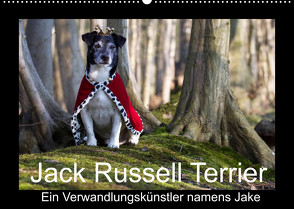 Jack Russell Terrier…..Ein Verwandlungskünstler namens Jake (Wandkalender 2022 DIN A2 quer) von S. + J. Schröder,  AWS, Schroeder,  Susanne, Werbeagentur