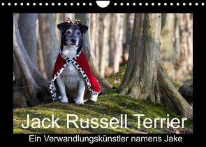 Jack Russell Terrier…..Ein Verwandlungskünstler namens Jake (Wandkalender 2022 DIN A4 quer) von S. + J. Schröder,  AWS, Schroeder,  Susanne, Werbeagentur