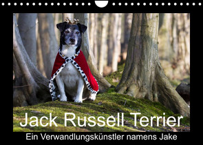 Jack Russell Terrier…..Ein Verwandlungskünstler namens Jake (Wandkalender 2023 DIN A4 quer) von S. + J. Schröder,  AWS, Schroeder,  Susanne, Werbeagentur