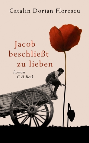 Jacob beschließt zu lieben von Florescu,  Catalin Dorian