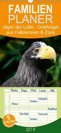 Jäger der Lüfte – Greifvögel aus Falknereien und Zoos – Familienplaner hoch (Wandkalender 2019 , 21 cm x 45 cm, hoch) von Widdmann,  Uwe