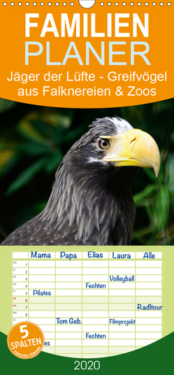 Jäger der Lüfte – Greifvögel aus Falknereien und Zoos – Familienplaner hoch (Wandkalender 2020 , 21 cm x 45 cm, hoch) von Widdmann,  Uwe