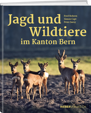 Jagd und Wildtiere im Kanton Bern von Bohren,  Fred, Capt,  Simon, Jüsy,  Peter