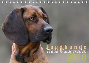 Jagdhunde – Treue Waidgesellen (Tischkalender 2018 DIN A5 quer) von Gerlach,  Nadine