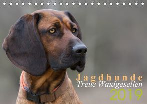 Jagdhunde – Treue Waidgesellen (Tischkalender 2019 DIN A5 quer) von Gerlach,  Nadine