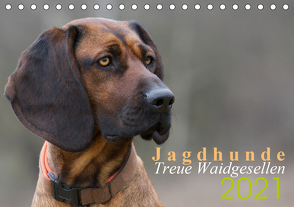 Jagdhunde – Treue Waidgesellen (Tischkalender 2021 DIN A5 quer) von Gerlach,  Nadine