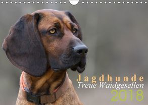 Jagdhunde – Treue Waidgesellen (Wandkalender 2018 DIN A4 quer) von Gerlach,  Nadine