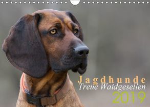 Jagdhunde – Treue Waidgesellen (Wandkalender 2019 DIN A4 quer) von Gerlach,  Nadine