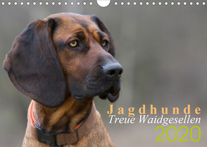 Jagdhunde – Treue Waidgesellen (Wandkalender 2020 DIN A4 quer) von Gerlach,  Nadine