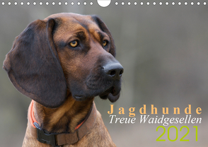 Jagdhunde – Treue Waidgesellen (Wandkalender 2021 DIN A4 quer) von Gerlach,  Nadine