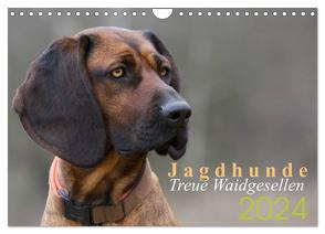 Jagdhunde – Treue Waidgesellen (Wandkalender 2024 DIN A4 quer), CALVENDO Monatskalender von Gerlach,  Nadine