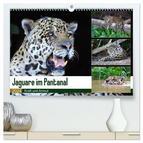 Jaguare im Pantanal (hochwertiger Premium Wandkalender 2024 DIN A2 quer), Kunstdruck in Hochglanz von und Michael Herzog,  Yvonne