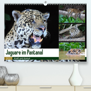 Jaguare im Pantanal (Premium, hochwertiger DIN A2 Wandkalender 2022, Kunstdruck in Hochglanz) von und Michael Herzog,  Yvonne