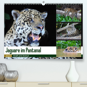 Jaguare im Pantanal (Premium, hochwertiger DIN A2 Wandkalender 2023, Kunstdruck in Hochglanz) von und Michael Herzog,  Yvonne