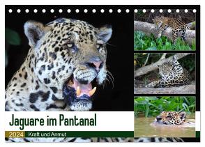 Jaguare im Pantanal (Tischkalender 2024 DIN A5 quer), CALVENDO Monatskalender von und Michael Herzog,  Yvonne