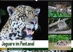 Jaguare im Pantanal (Wandkalender 2022 DIN A2 quer) von und Michael Herzog,  Yvonne