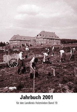 Jahrbuch für den Landkreis Holzminden / Jahrbuch 2001 von Heise,  Friedrich, Jahns,  Werner, Konrad,  Volker, Krueger,  Thomas, Lilge,  Andreas, Mitgau,  Wolfgang, Mohrmann,  Wilfried, Reichardt,  Christoph, Seeliger,  Matthias