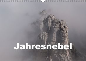 Jahresnebel (Wandkalender 2018 DIN A3 quer) von Seidl,  Hans