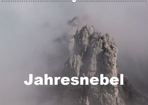 Jahresnebel (Wandkalender 2019 DIN A2 quer) von Seidl,  Hans