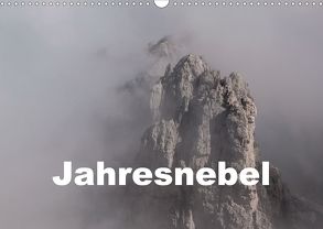 Jahresnebel (Wandkalender 2020 DIN A3 quer) von Seidl,  Hans