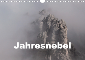 Jahresnebel (Wandkalender 2021 DIN A4 quer) von Seidl,  Hans