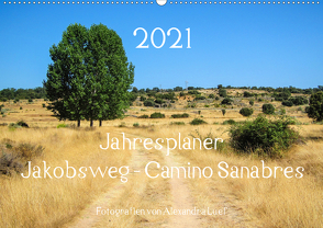 Jahresplaner Jakobsweg – Camino Sanabres (Wandkalender 2021 DIN A2 quer) von Luef,  Alexandra