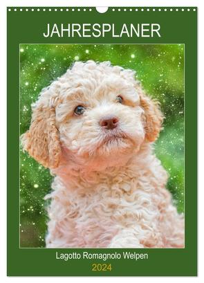 Jahresplaner Lagotto Romagnolo Welpen (Wandkalender 2024 DIN A3 hoch), CALVENDO Monatskalender von Starick,  Sigrid