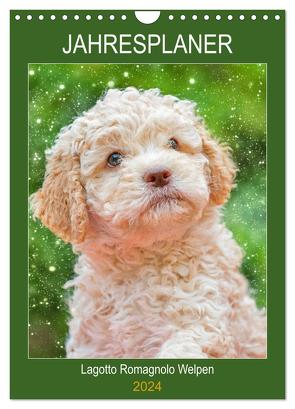 Jahresplaner Lagotto Romagnolo Welpen (Wandkalender 2024 DIN A4 hoch), CALVENDO Monatskalender von Starick,  Sigrid