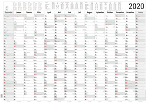 Jahresplaner XL – 14 Monate 2020 – Wandkalender – Plakatkalender (99 x 69) – Jahresübersicht – Ferienübersicht – Arbeitstagezählung von ALPHA EDITION