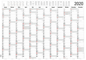 Jahresplaner XL 2020 – Wandkalender – Plakatkalender (99 x 69) – Ferienübersicht – Arbeitstagezählung von ALPHA EDITION