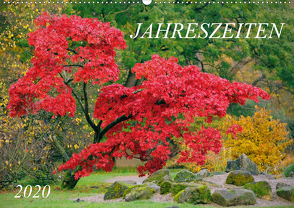 Jahreszeiten / 2020 (Wandkalender 2020 DIN A2 quer) von Nonstopfoto