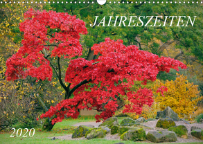 Jahreszeiten / 2020 (Wandkalender 2020 DIN A3 quer) von Nonstopfoto