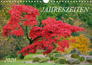 Jahreszeiten / 2020 (Wandkalender 2020 DIN A4 quer) von Nonstopfoto