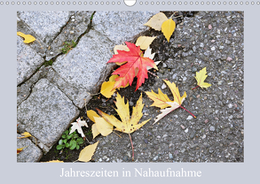 Jahreszeiten in Nahaufnahme (Wandkalender 2019 DIN A3 quer) von schlipho