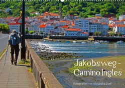 Jakobsweg – Camino Ingles (Wandkalender 2022 DIN A2 quer) von Luef,  Alexandra