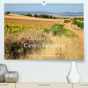 Jakobsweg – Camino Sanabres (Premium, hochwertiger DIN A2 Wandkalender 2023, Kunstdruck in Hochglanz) von Luef,  Alexandra