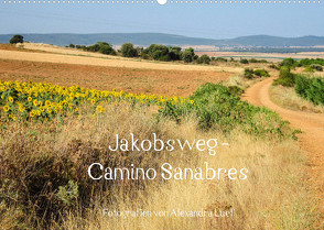 Jakobsweg – Camino Sanabres (Wandkalender 2022 DIN A2 quer) von Luef,  Alexandra