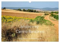 Jakobsweg – Camino Sanabres (Wandkalender 2024 DIN A3 quer), CALVENDO Monatskalender von Luef,  Alexandra