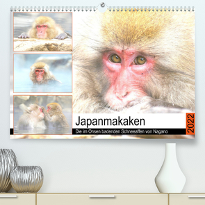 Japanmakaken. Die im Onsen badenden Schneeaffen von Nagano (Premium, hochwertiger DIN A2 Wandkalender 2022, Kunstdruck in Hochglanz) von Hurley,  Rose