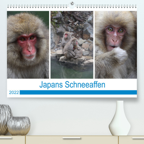 Japans Schneeaffen (Premium, hochwertiger DIN A2 Wandkalender 2022, Kunstdruck in Hochglanz) von Reeh