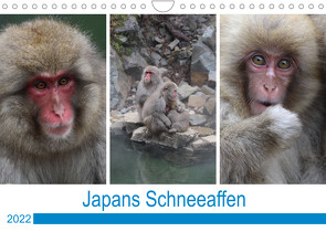Japans Schneeaffen (Wandkalender 2022 DIN A4 quer) von Reeh